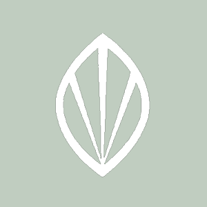 Statera Medical icon